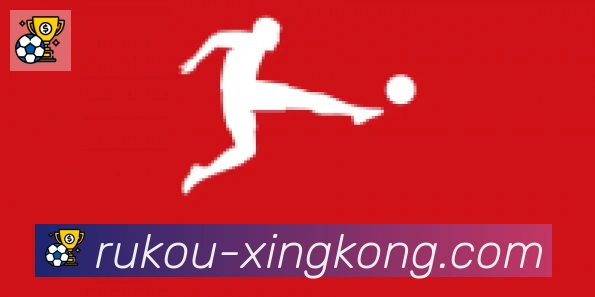 星空体育官网入口合作伙伴